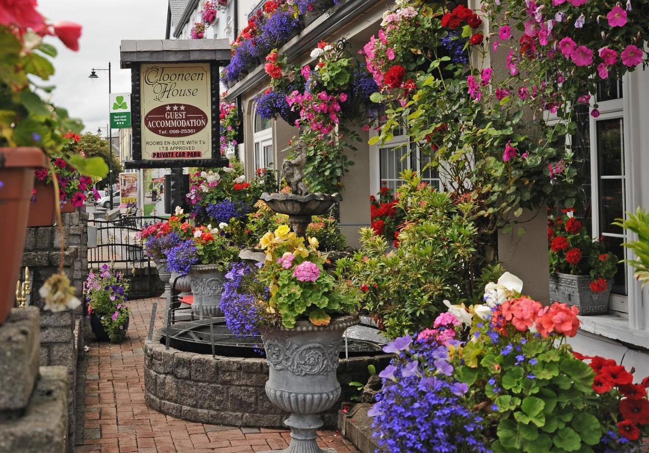 Clooneen House Hotel Westport Exterior photo